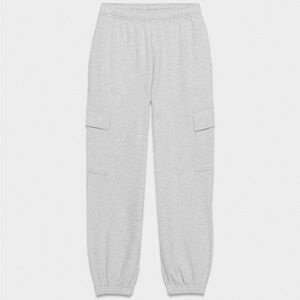 Aritzia Sweatfleece Cozy Fleece Mega Fit Cargo Joggers Sweatpants